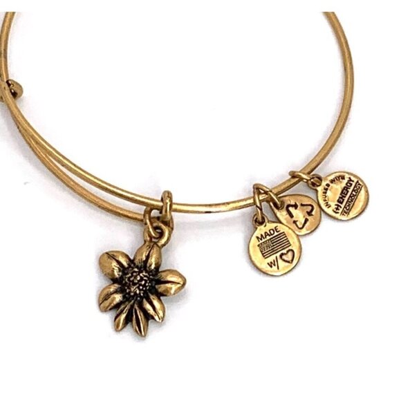 Alex and Ani Apple Blossom Charm Bracelet Raphaelian Gold Expands 2"- 3.5" - Picture 2 of 3